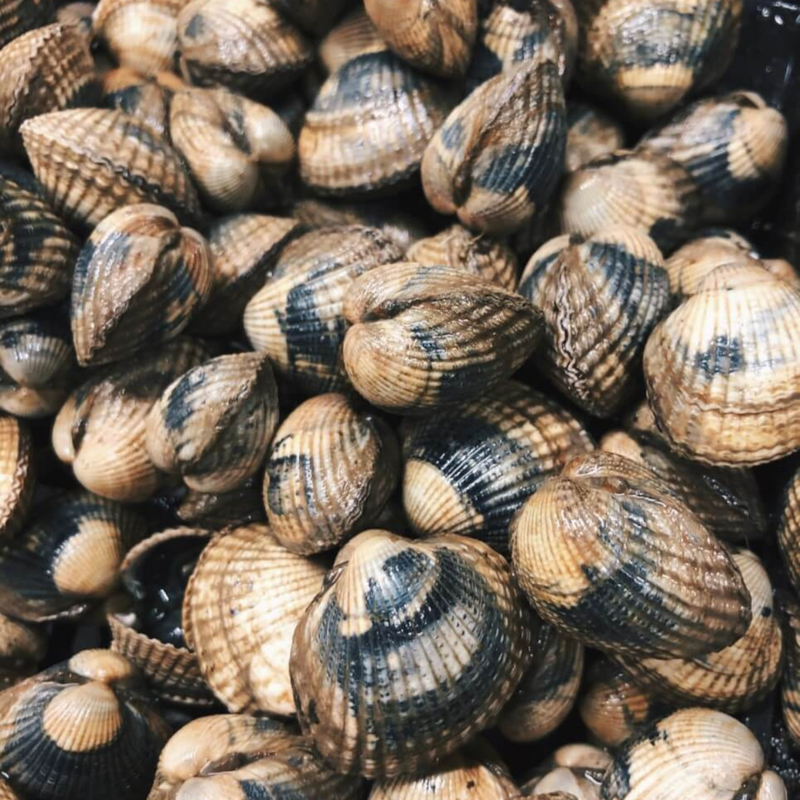 Østers & Skaldyr