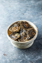 Flade Østers fra Tralee Bay