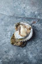 Flade Østers fra Tralee Bay