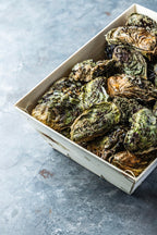 Stillehavsøsters fra Limfjorden