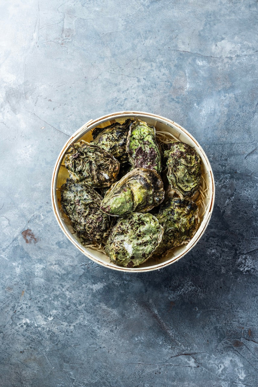 Stillehavsøsters fra Limfjorden