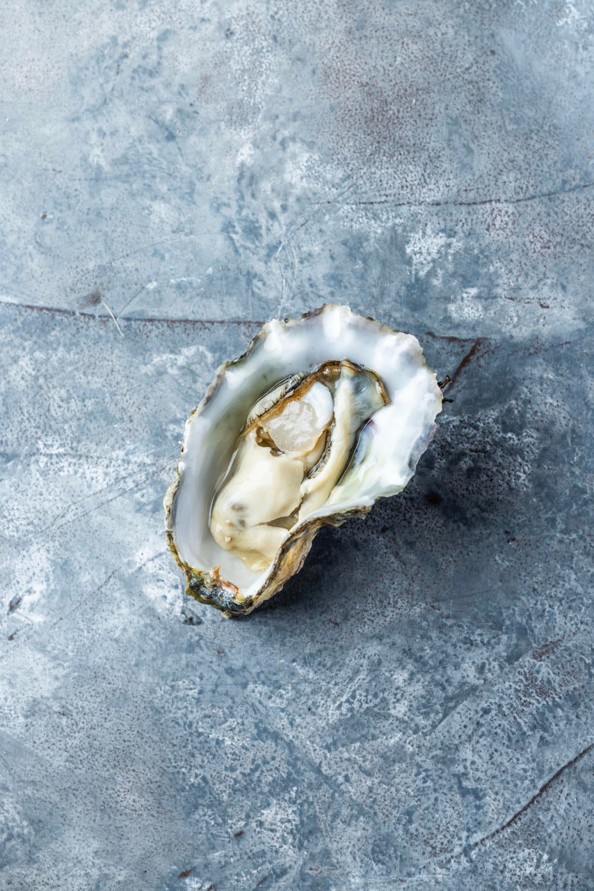 Stillehavsøsters fra Limfjorden