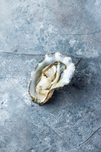 Stillehavsøsters fra Limfjorden