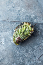 Stillehavsøsters fra Limfjorden