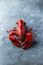 Kogt Limfjordshummer | KUN til levering d. 30. Dec 2025