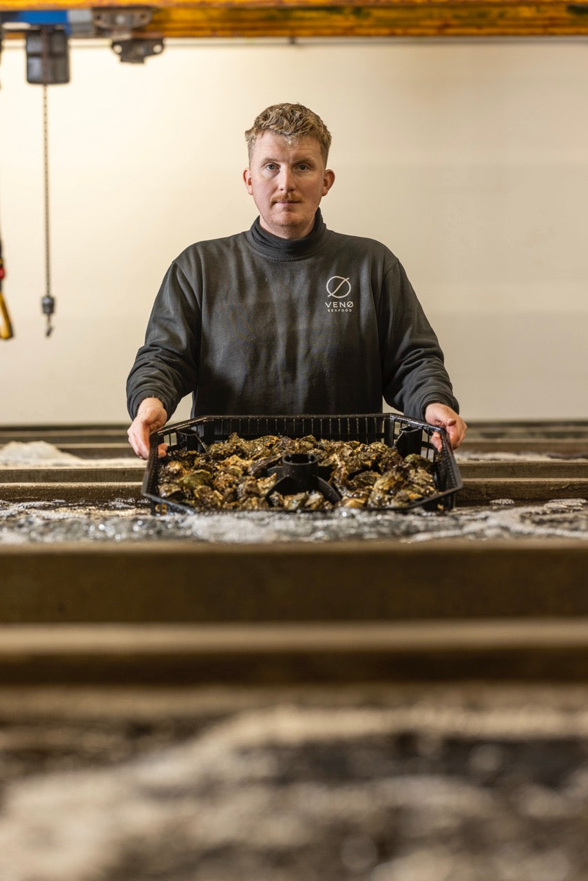 Hummer, østers og caviar fra Venø